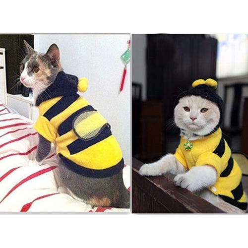 Cute Bees Clothes
