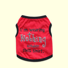 Load image into Gallery viewer, Racer Standing Costume