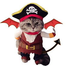 Load image into Gallery viewer, Costume Corsair