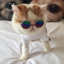 Load image into Gallery viewer, Funny  SunGlasses
