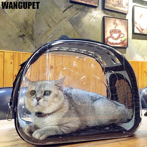 Transparent Folding Cat bag