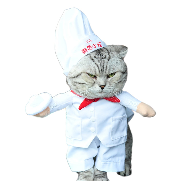 Costume Chef Style
