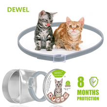 Load image into Gallery viewer, Dewel Summer Anti-insect Cat Dog Collar Anti Flea Mosquitoes Ticks Waterproof Cat Flea Collar for Pet 8 Months Protection