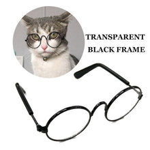Load image into Gallery viewer, Brother Cat Glasses