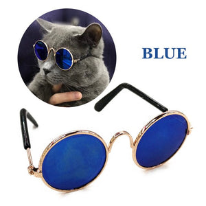 Brother Cat Glasses