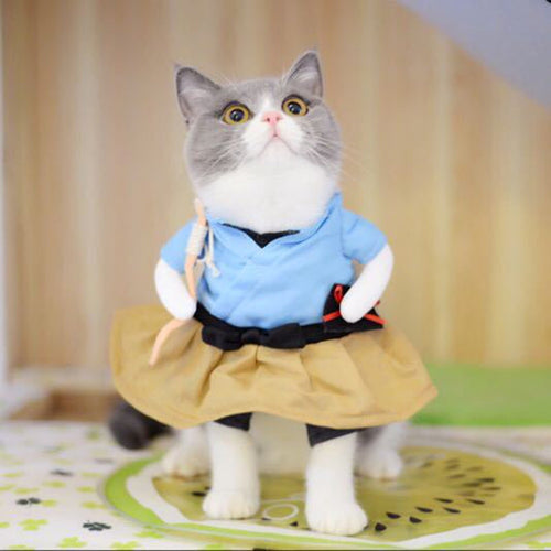 Funny Cat  Costume