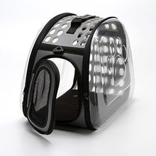 Load image into Gallery viewer, Transparent Folding Cat bag