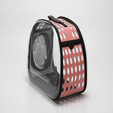 Load image into Gallery viewer, Transparent Folding Cat bag